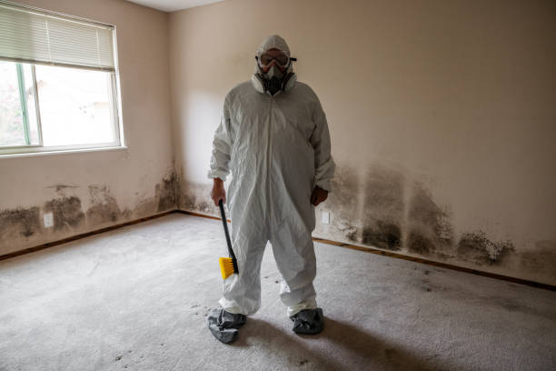 Best Mold Odor Removal Services  in Kenmar, PA